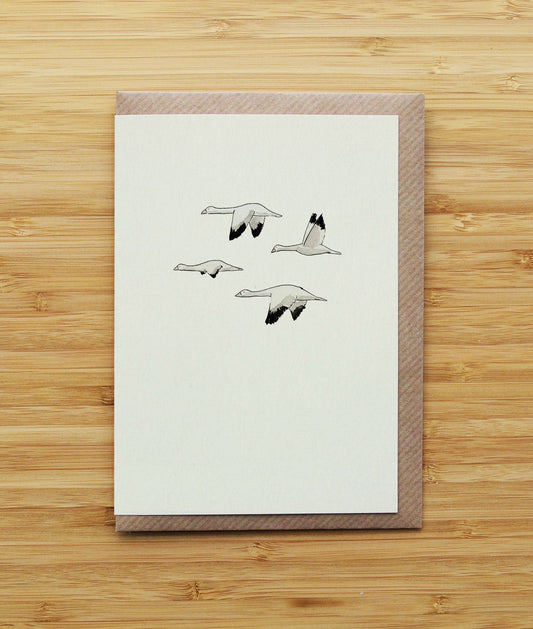 Snow Geese