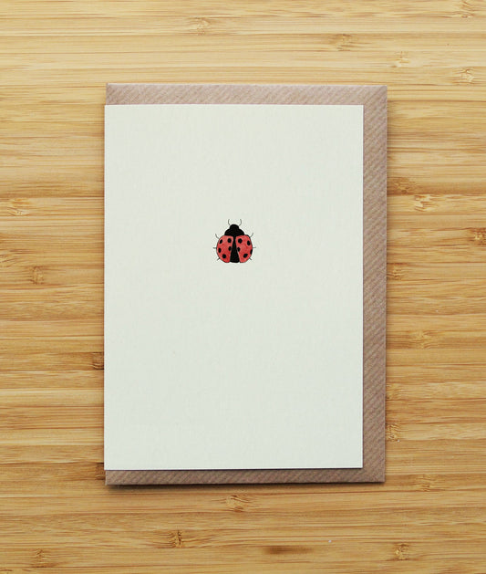 Ladybird