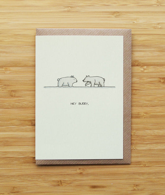 Polar Bear and Snow Bear