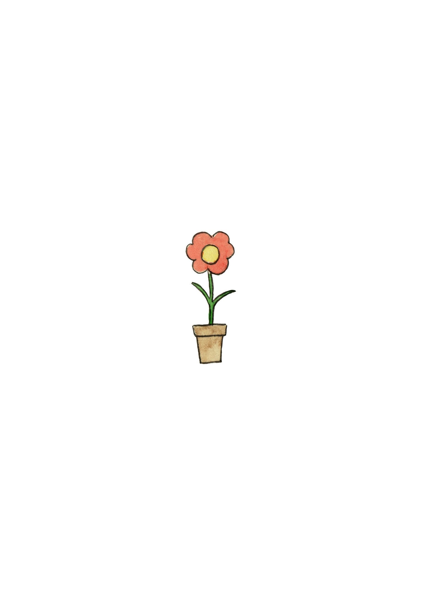 Flower Pot Merci