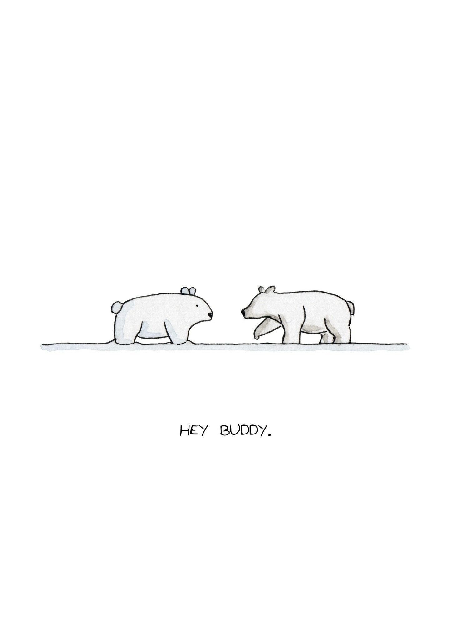 Polar Bear and Snow Bear