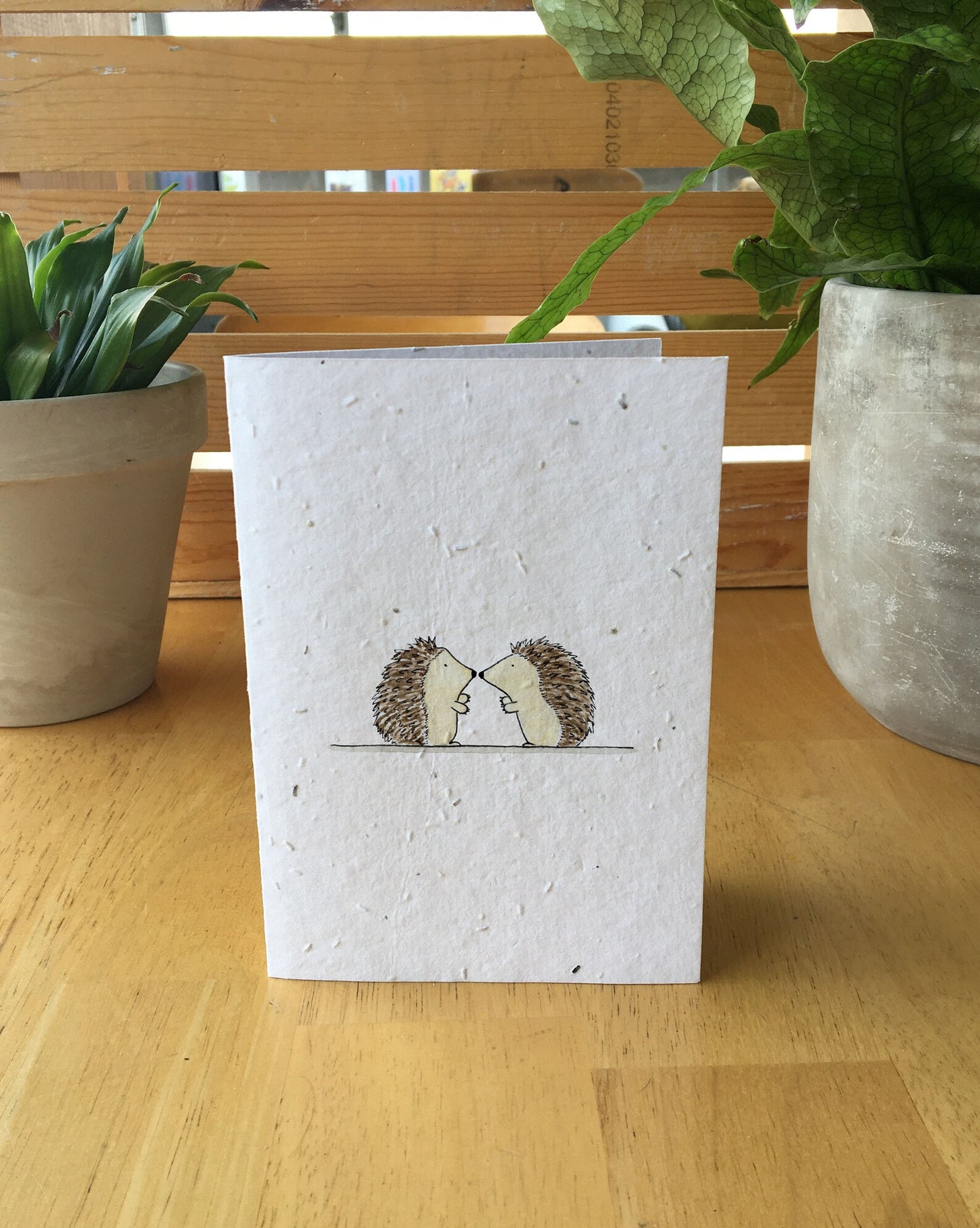Hedgehog Kiss