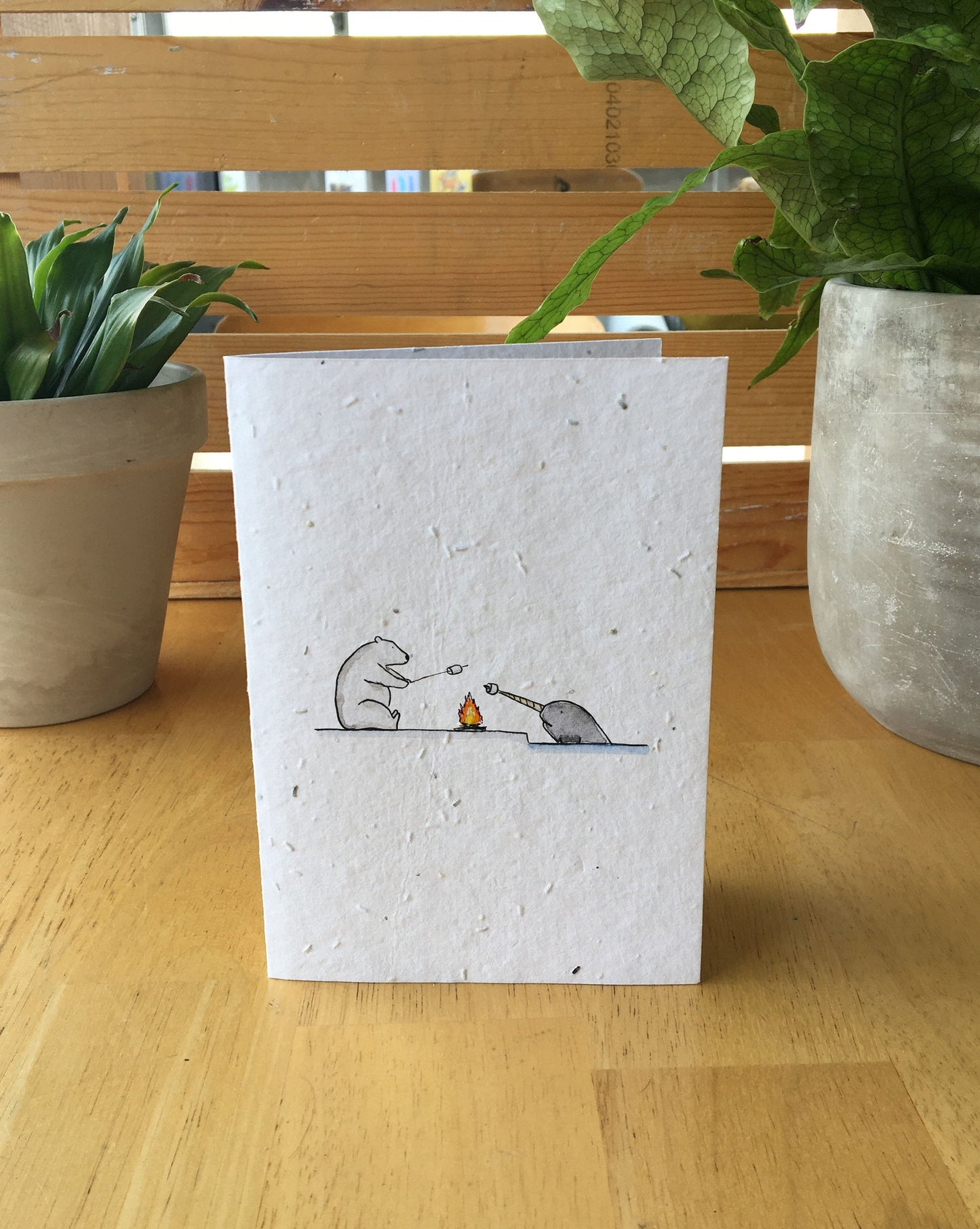 Narwhal and Polar Bear