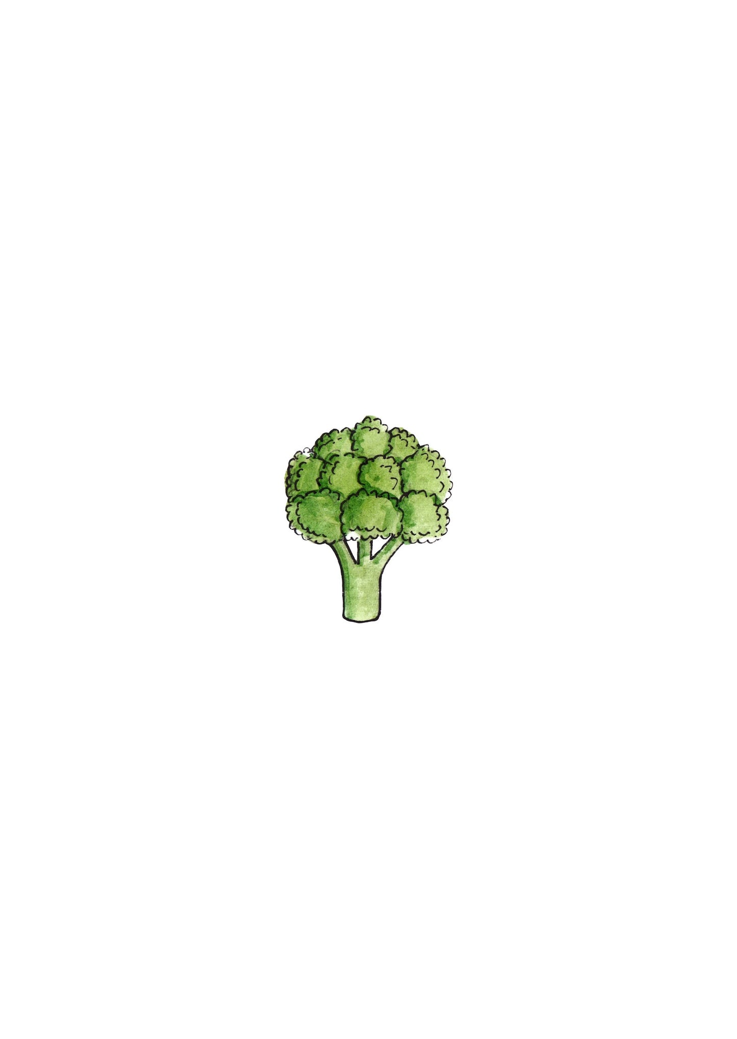Broccoli