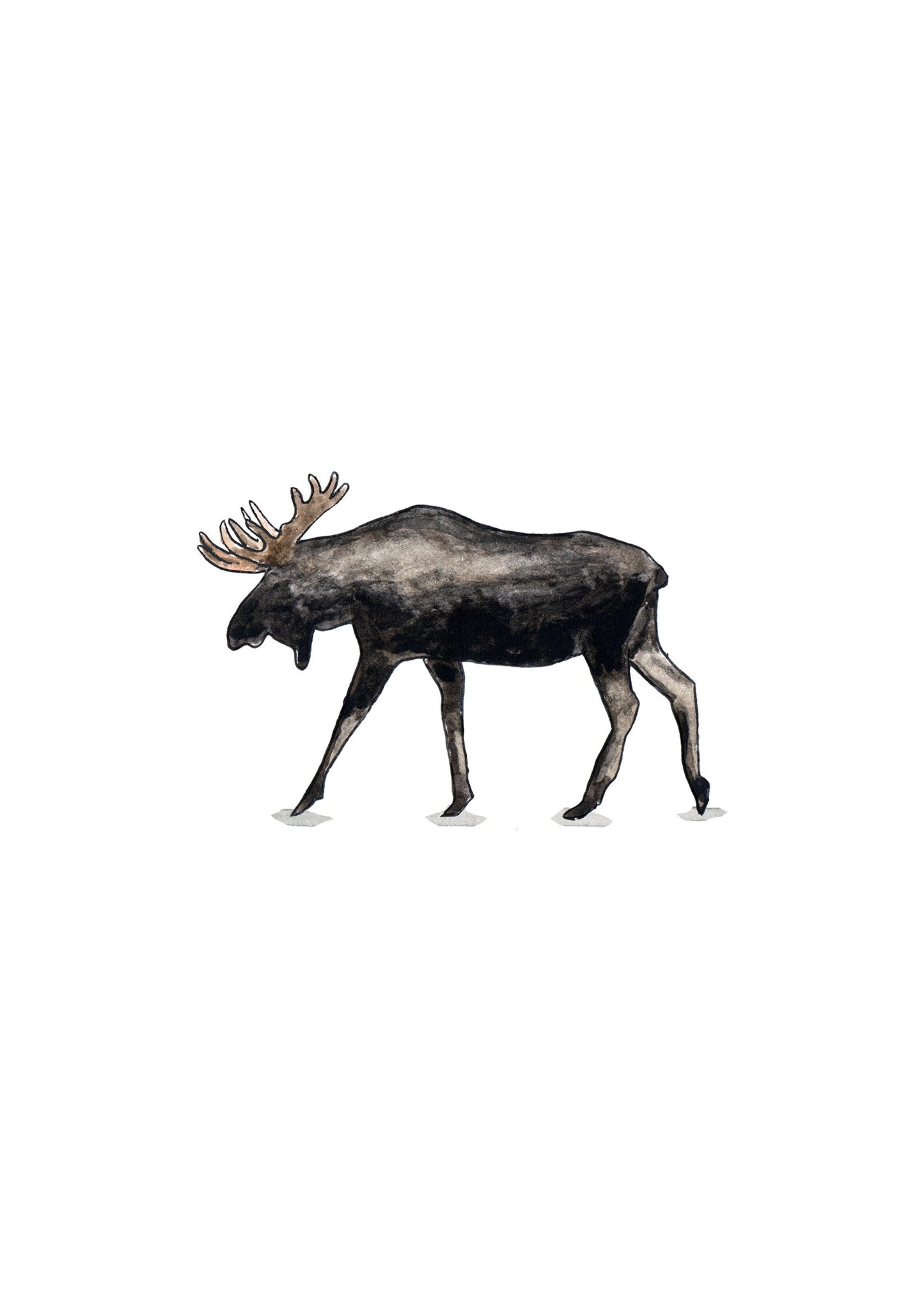 I Moose You