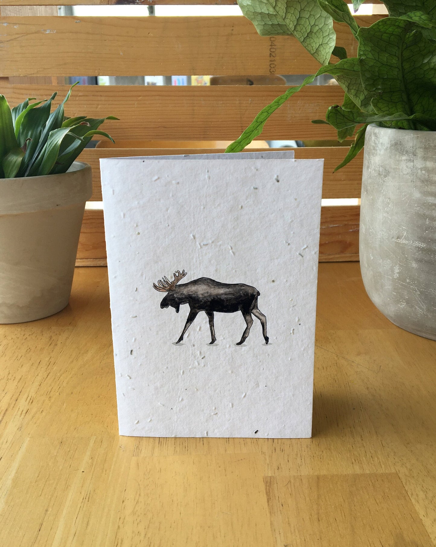 I Moose You
