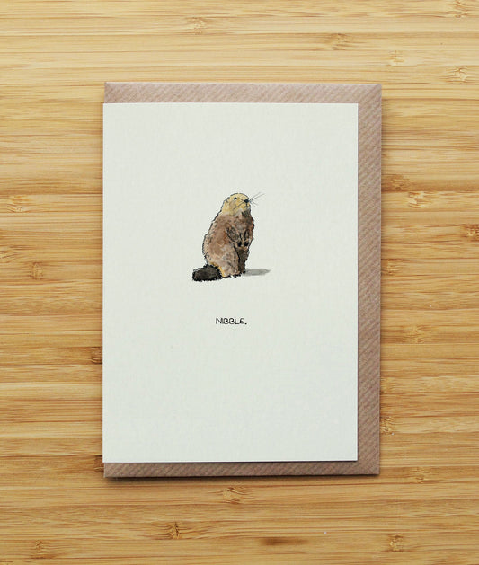 Marmot