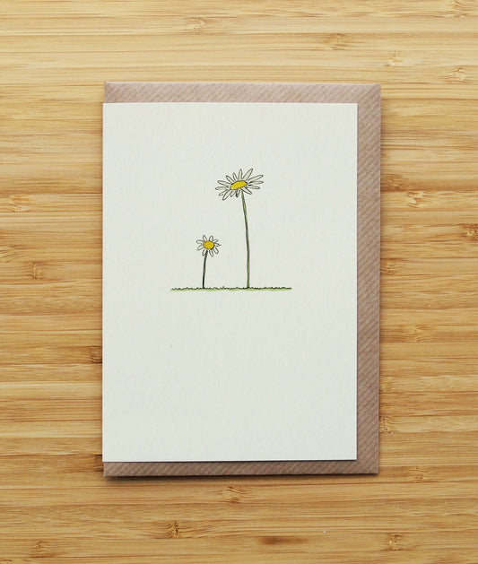 Daisies