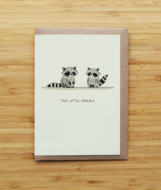 Two Raccoons