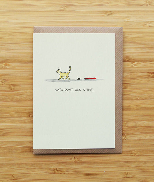 Cats don't give a shit
