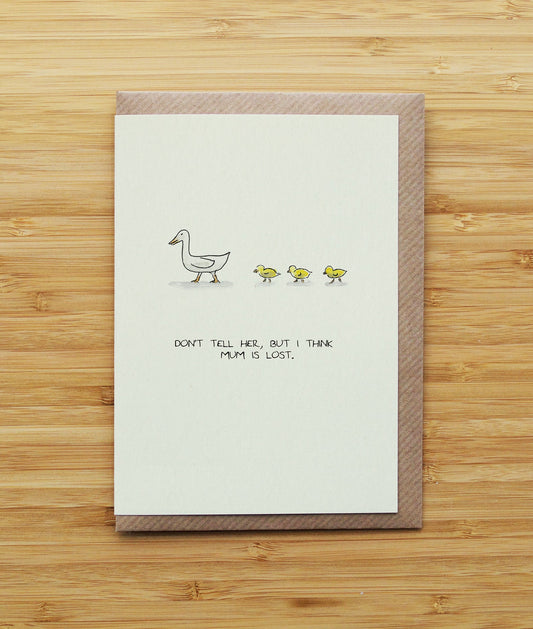 Lost Duck Mum