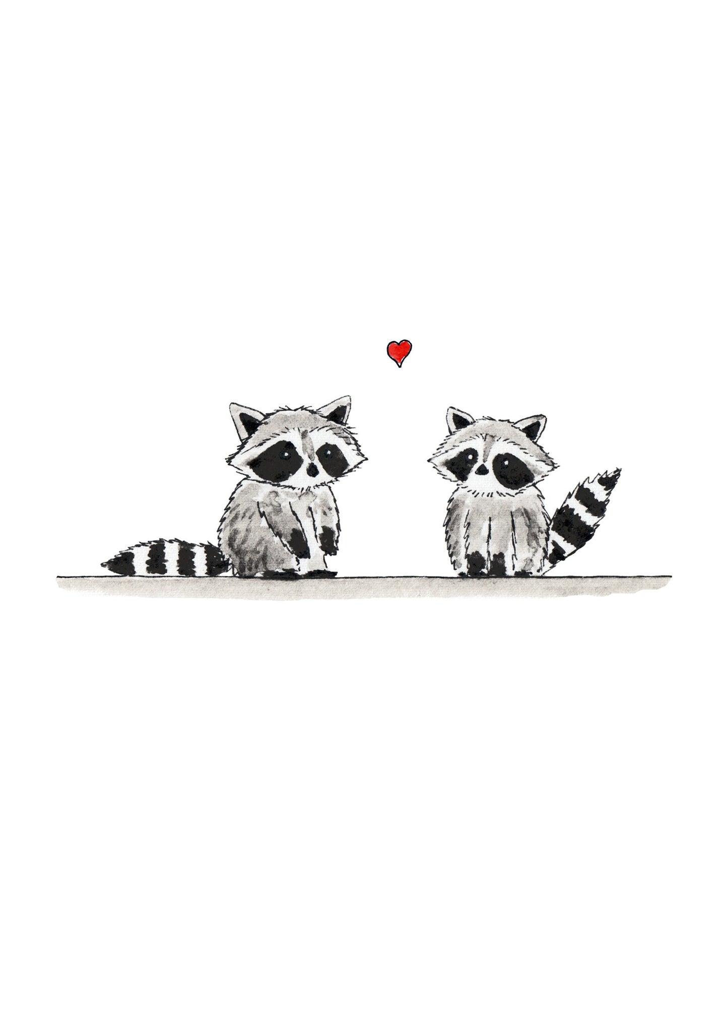 Love Raccoons