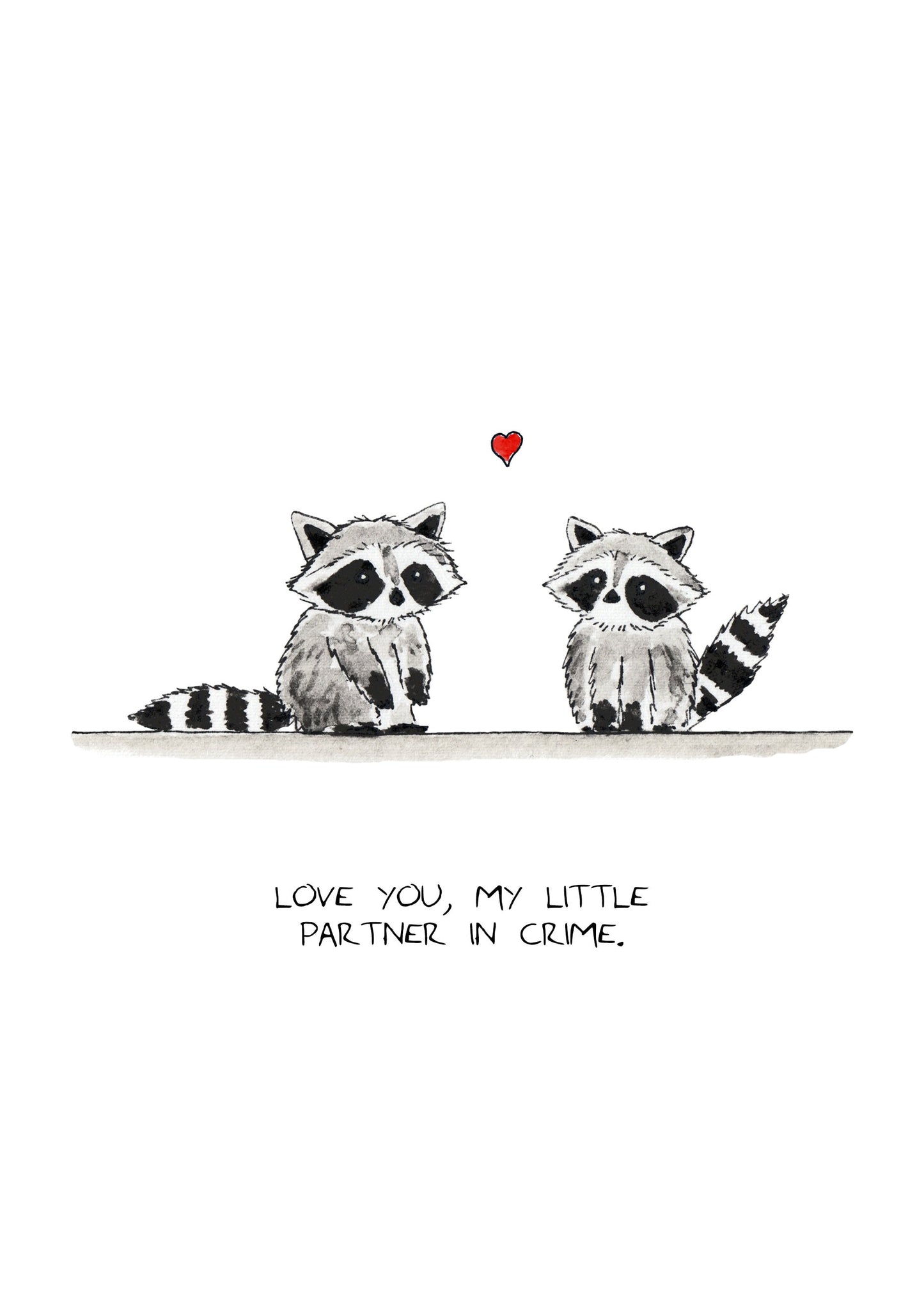 Love Raccoons