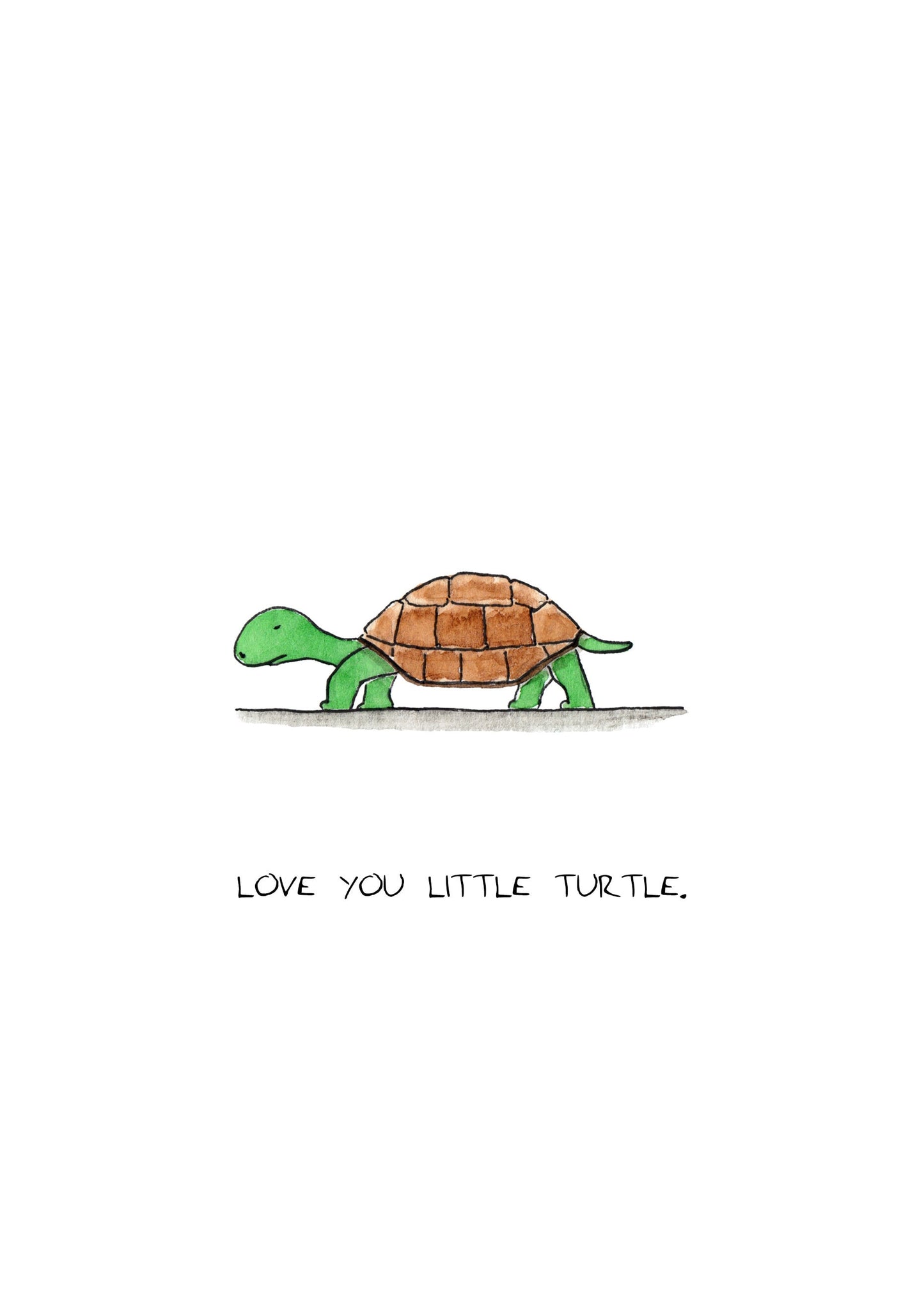 Little Turtle