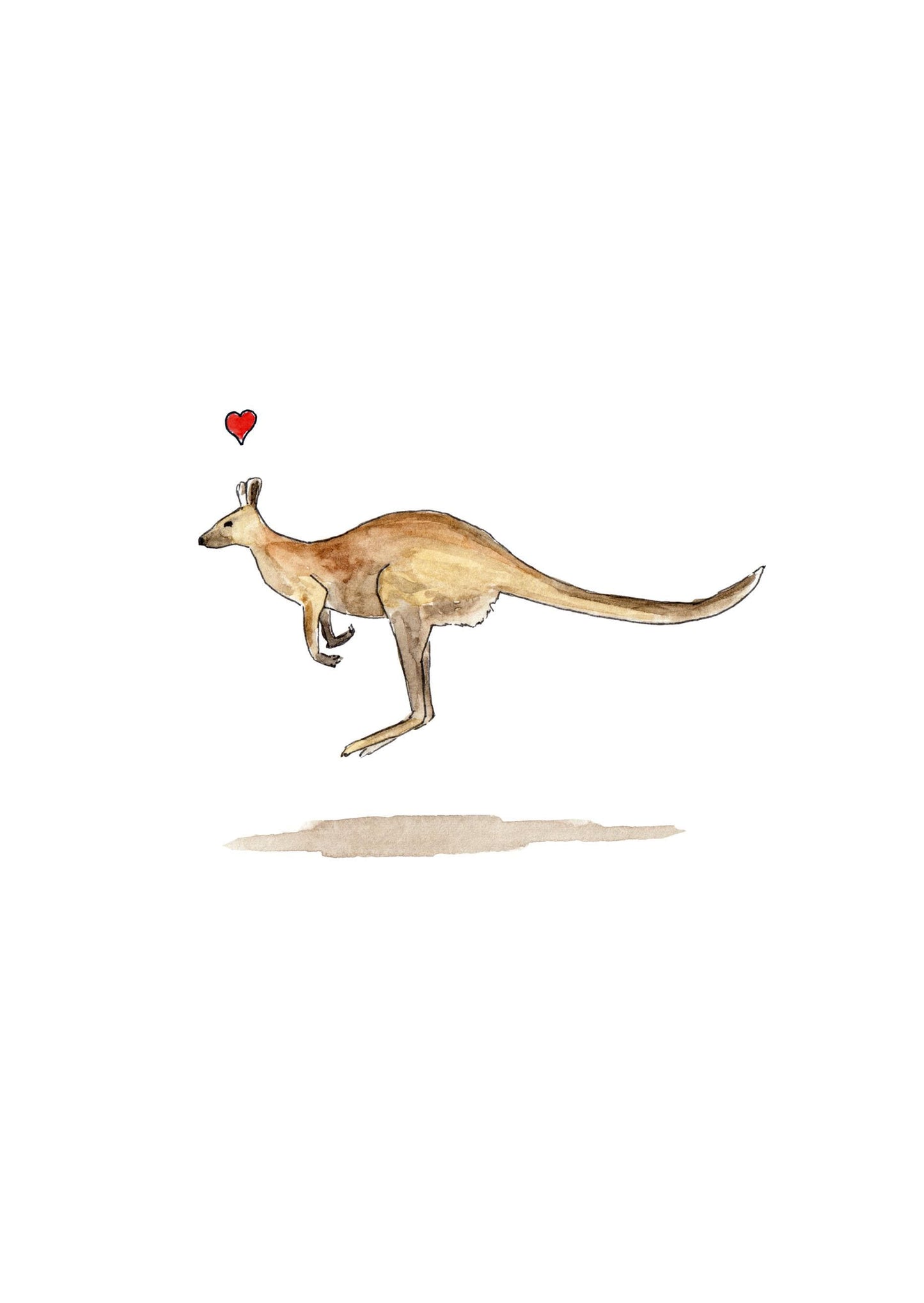 Love Kangaroo