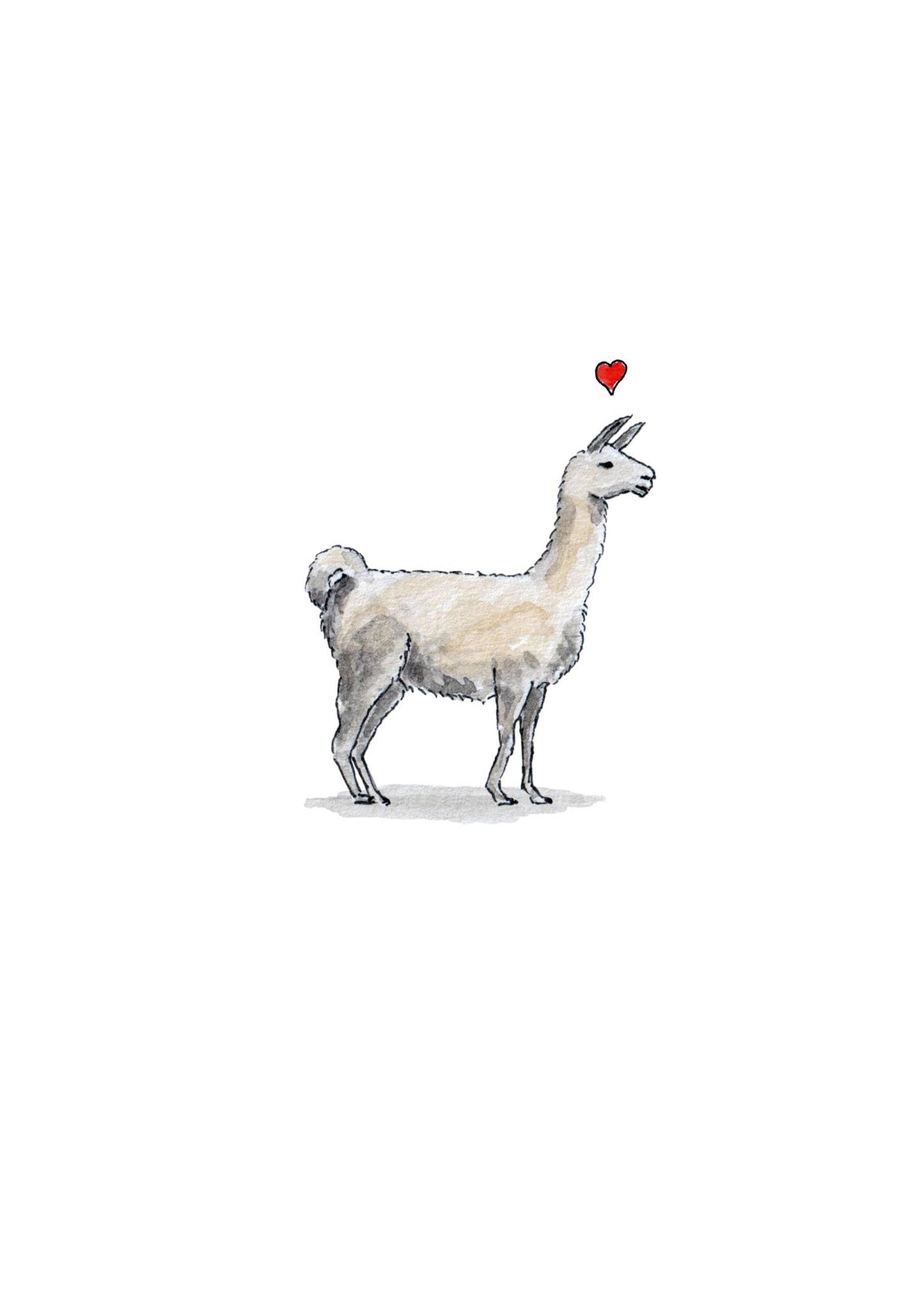 Love Llama