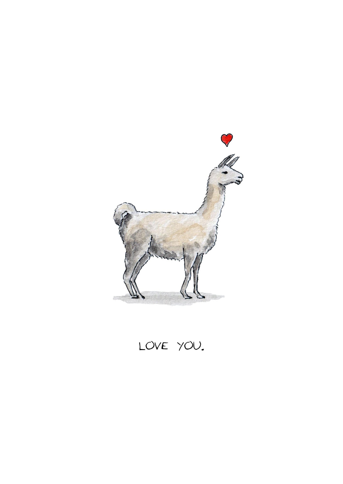 Love Llama