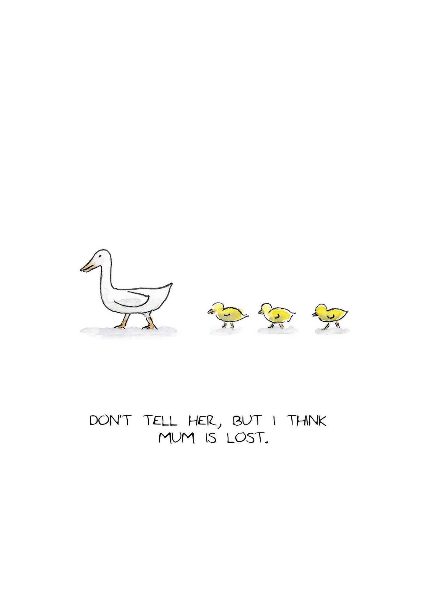 Lost Duck Mum