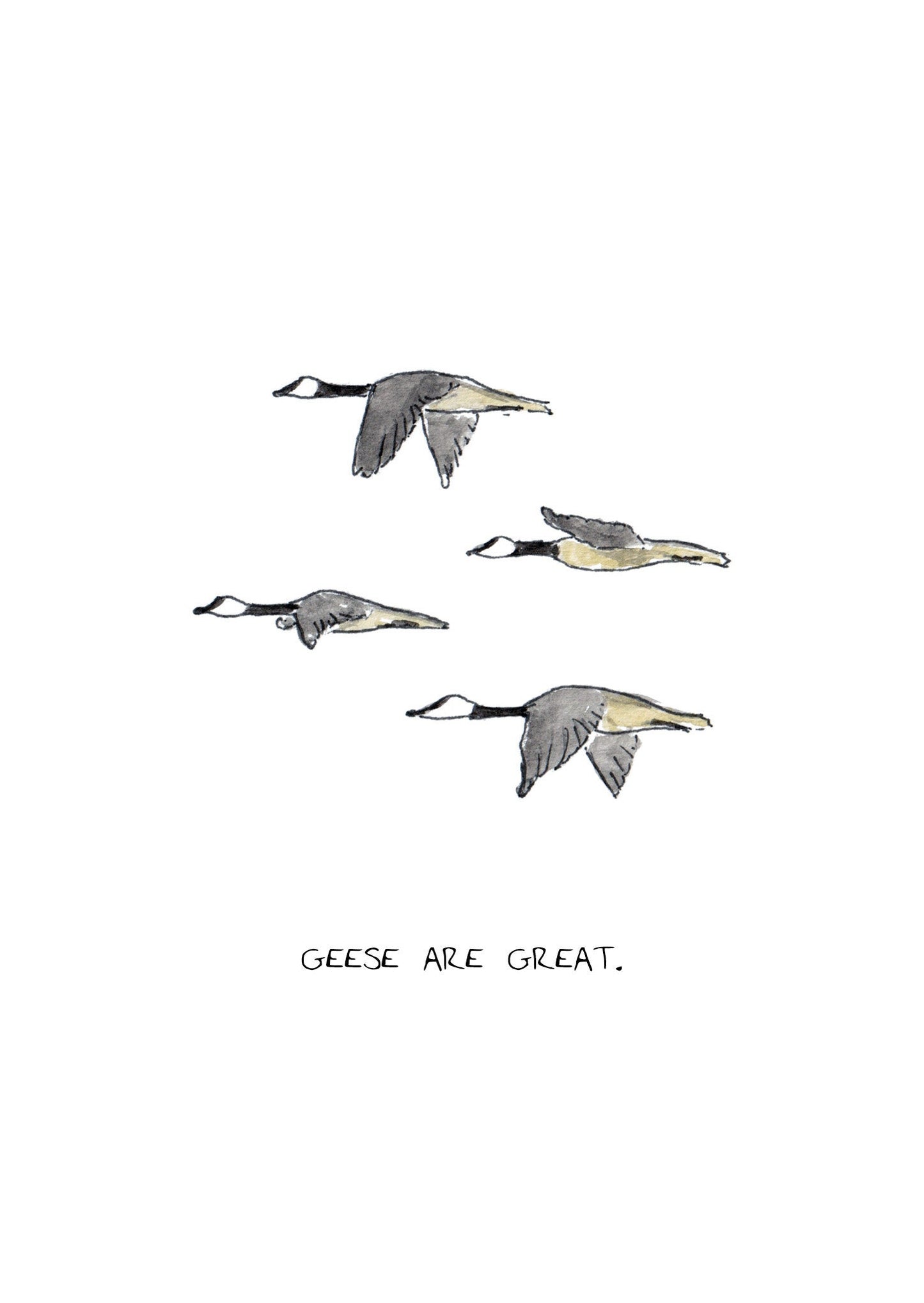 Geese are Great