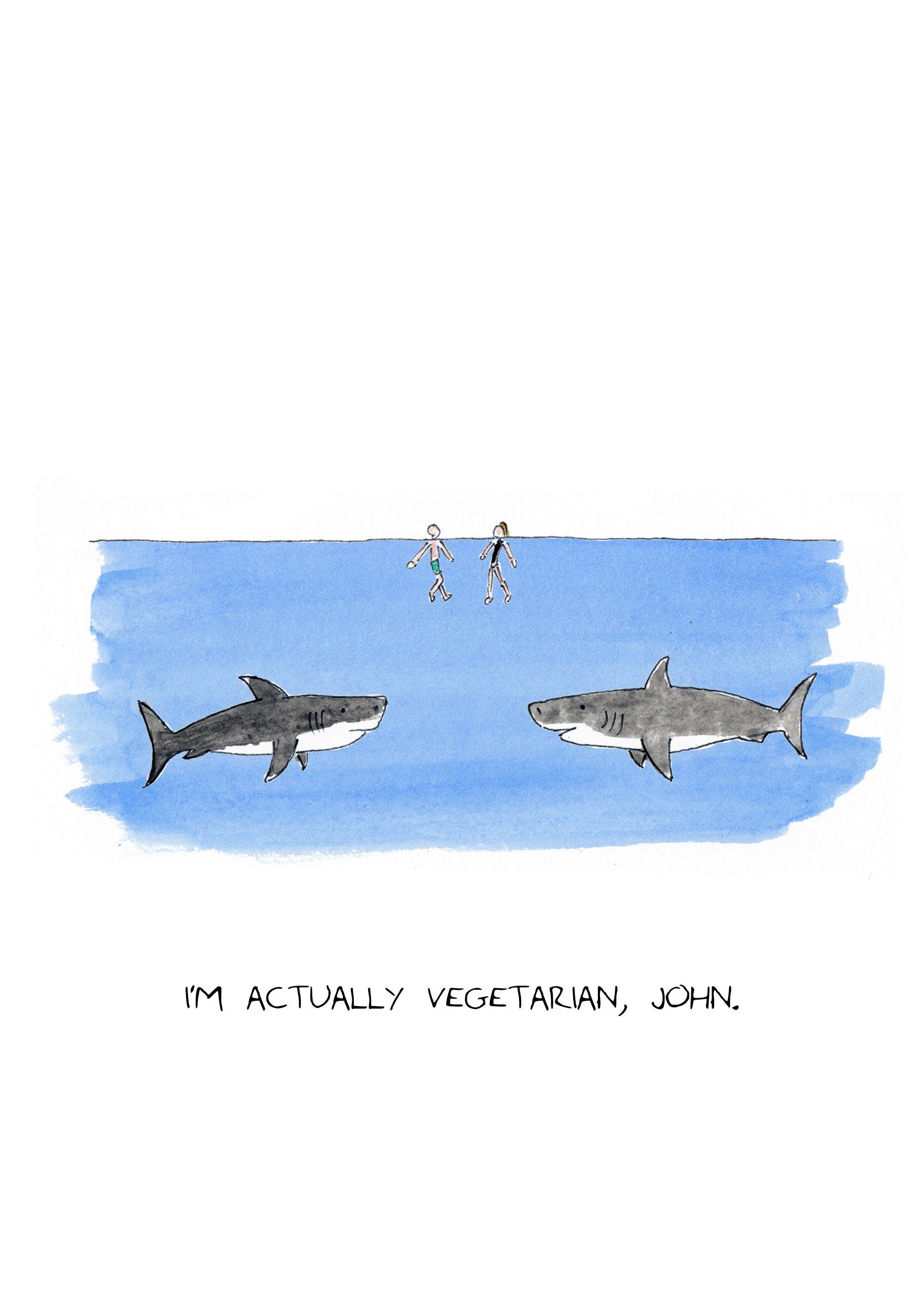 Vegetarian Shark Cards