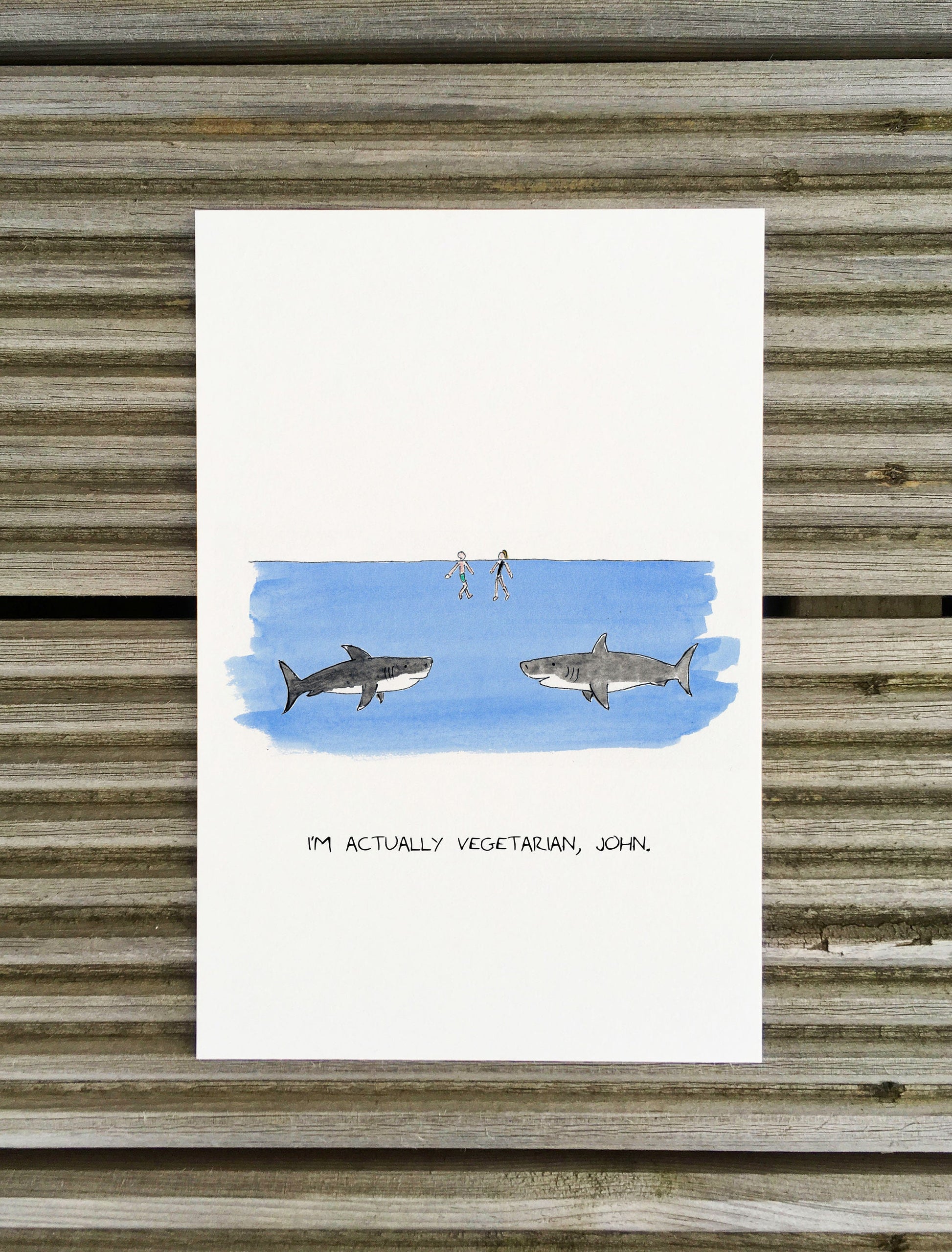 Vegetarian Shark Cards