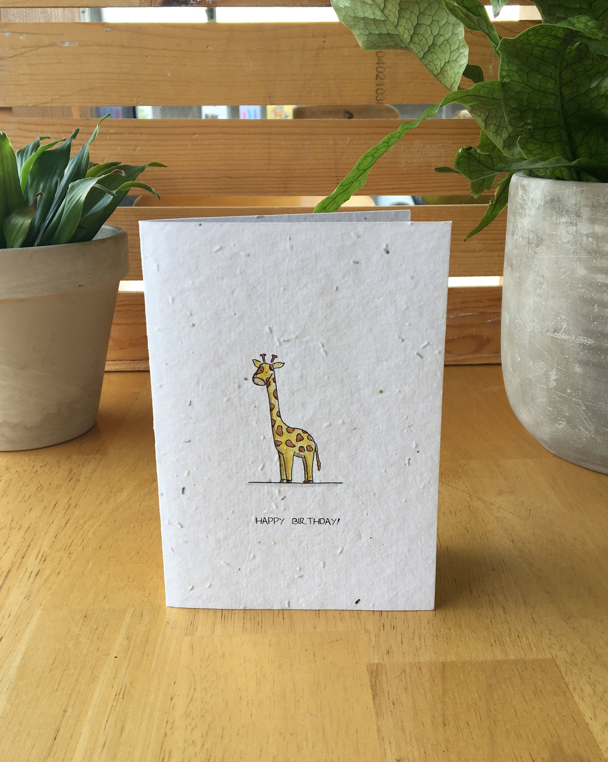 Animal Birthday Cards UK