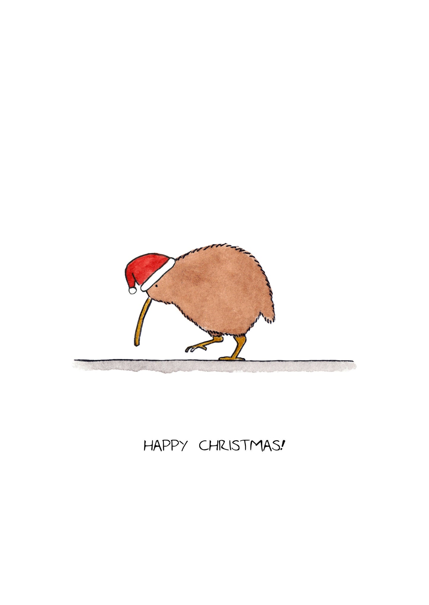 Kiwi Christmas